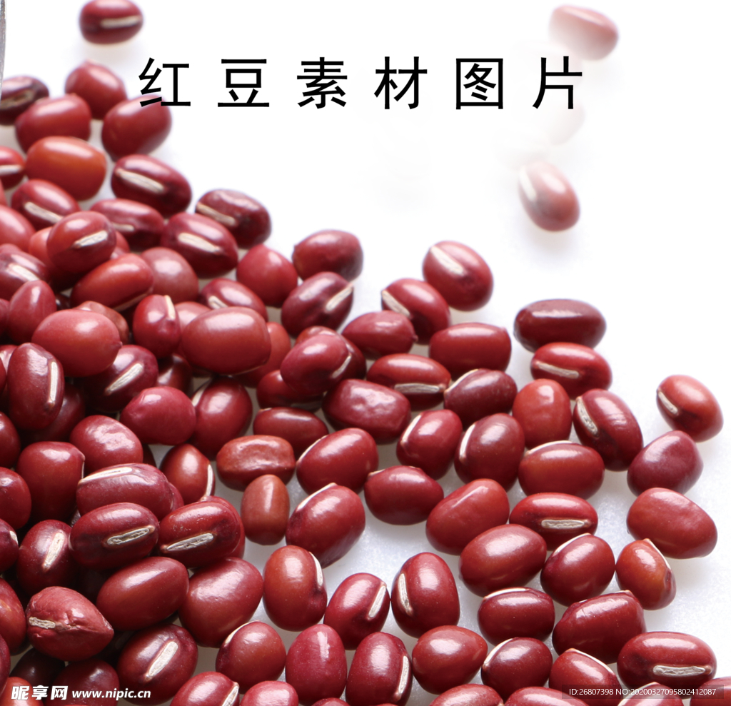 红豆素材图片