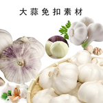 大蒜免扣素材