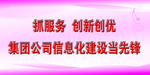 抓服务