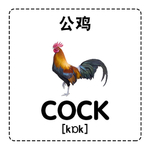 公鸡