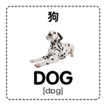 狗