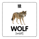 狼