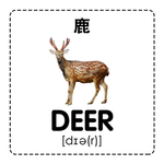 鹿