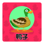 鸭子