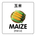 玉米