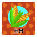 玉米