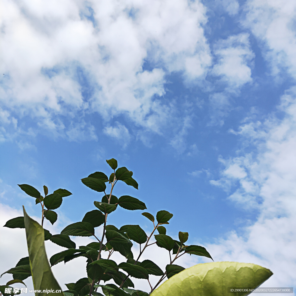 天空