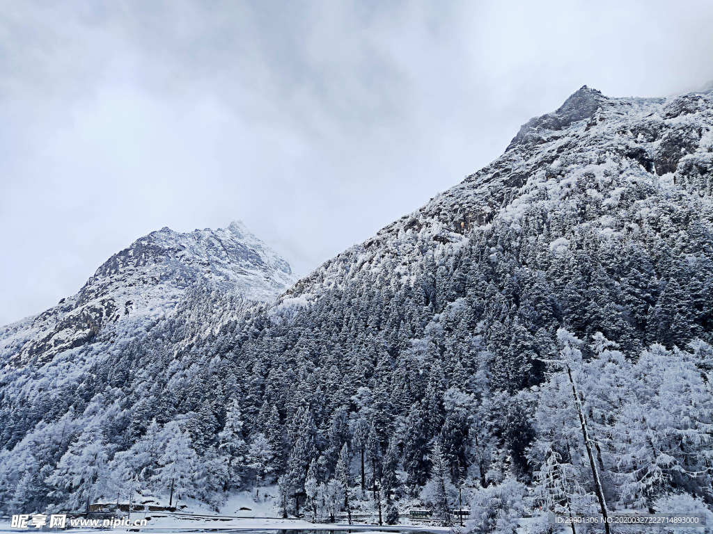 雪景