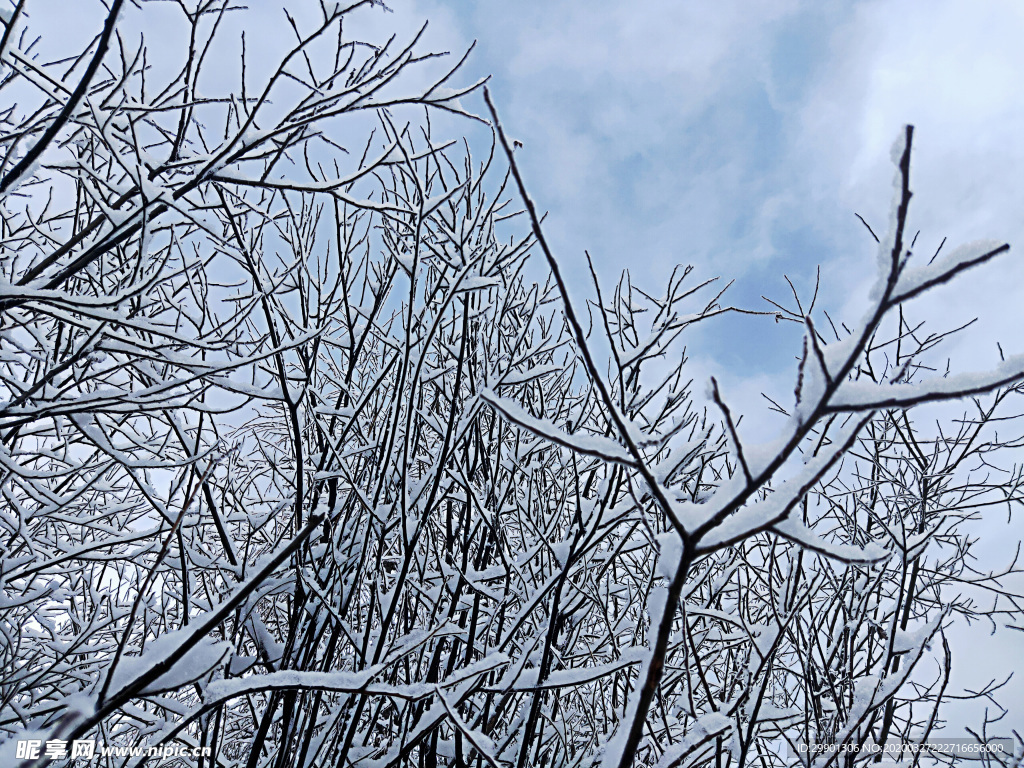 雪景