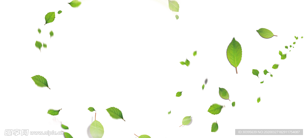 绿色背景