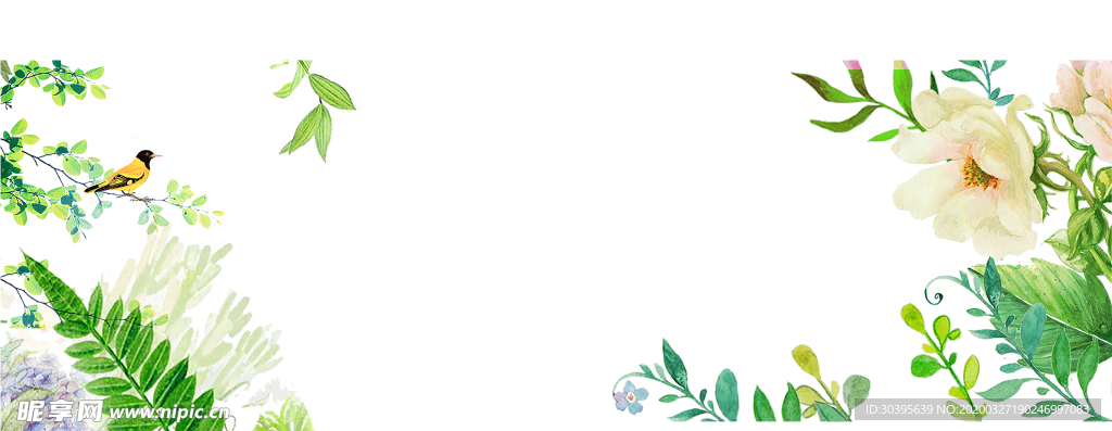 绿色背景