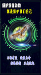 野生动物宣传图片