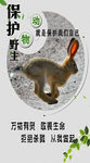 野生动物宣传图片