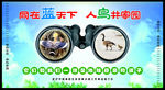 野生动物宣传图片