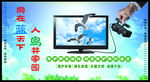 野生动物宣传图片