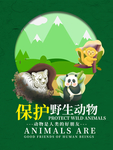 保护野生动物