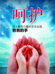 呵护