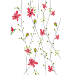 花
