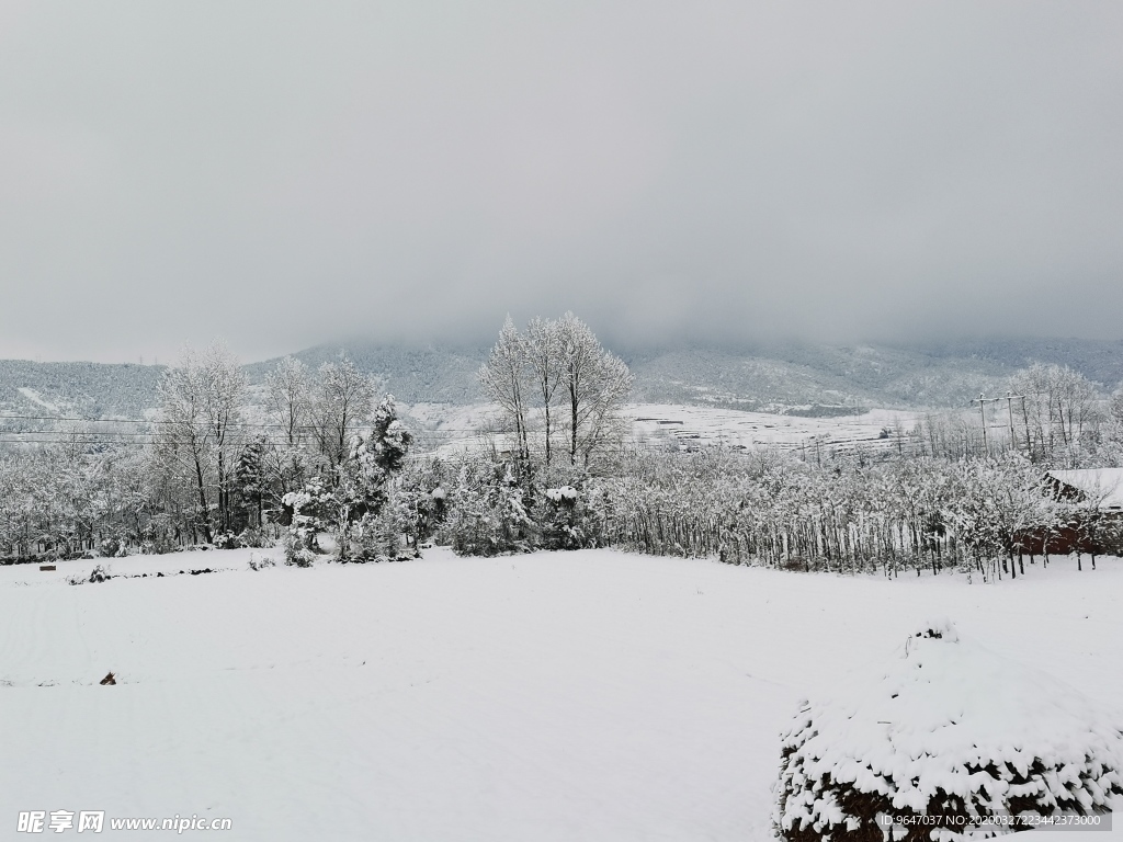 雪景