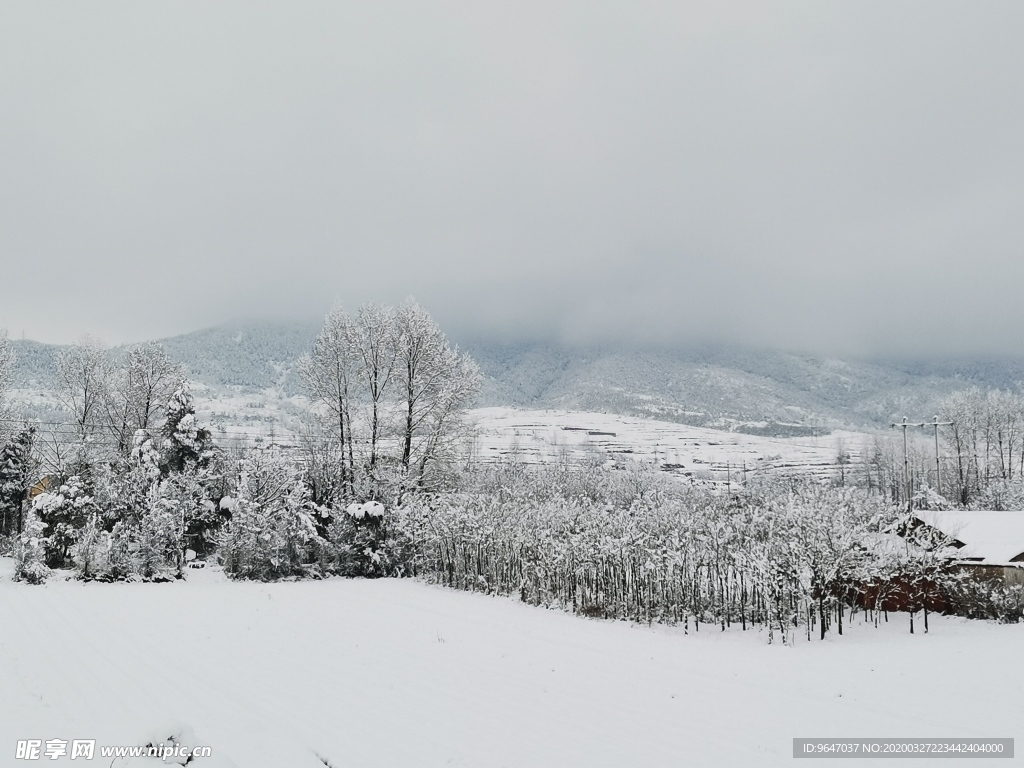 家乡雪景