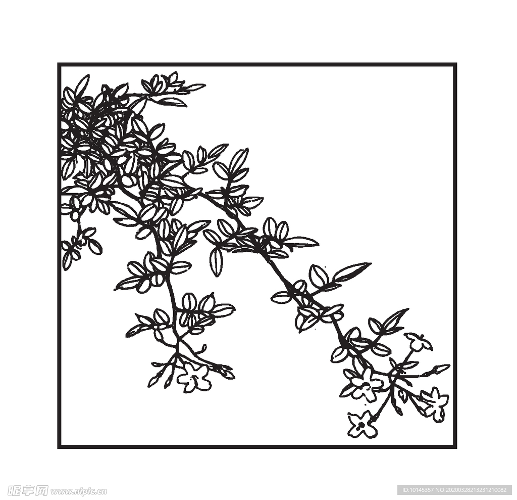 紫馨