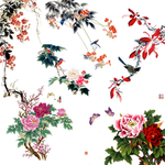 国画花鸟