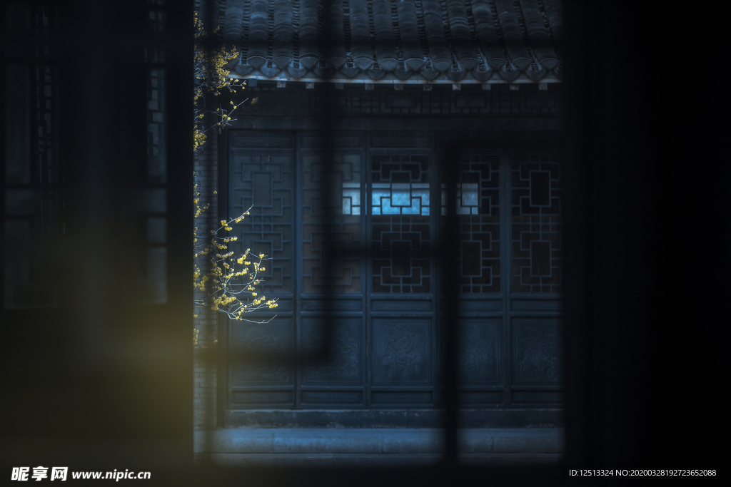 庭院