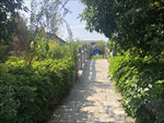 小桥