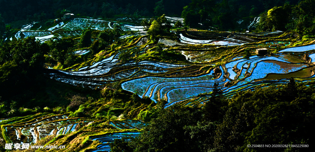 自然风景
