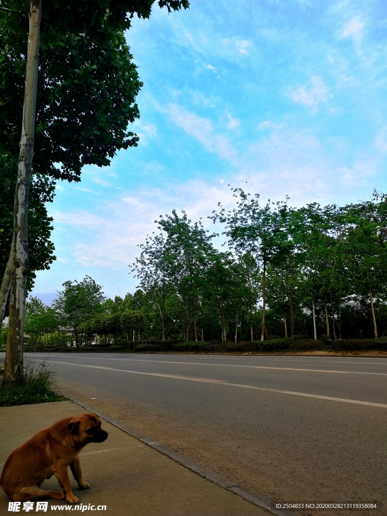 自然风景