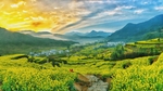 自然风景