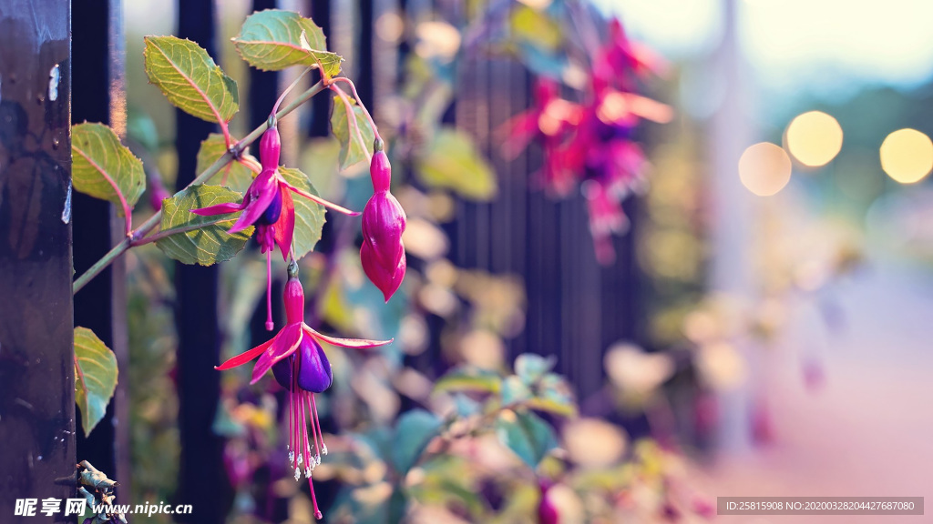 花艺插花捧花桌花图片