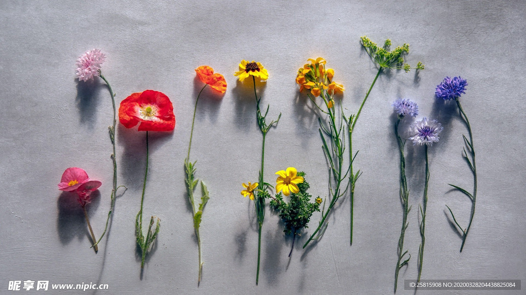 花艺插花捧花桌花图片