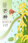 芒种