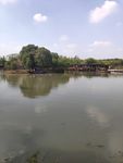 沙家浜