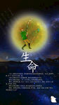 星空 生命太阳钓鱼文案