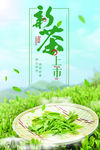 春季新茶上市