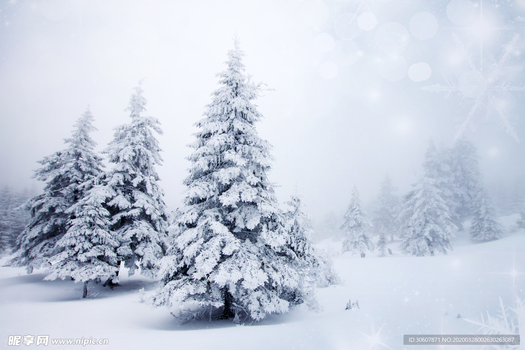 雪景