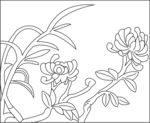 菊花