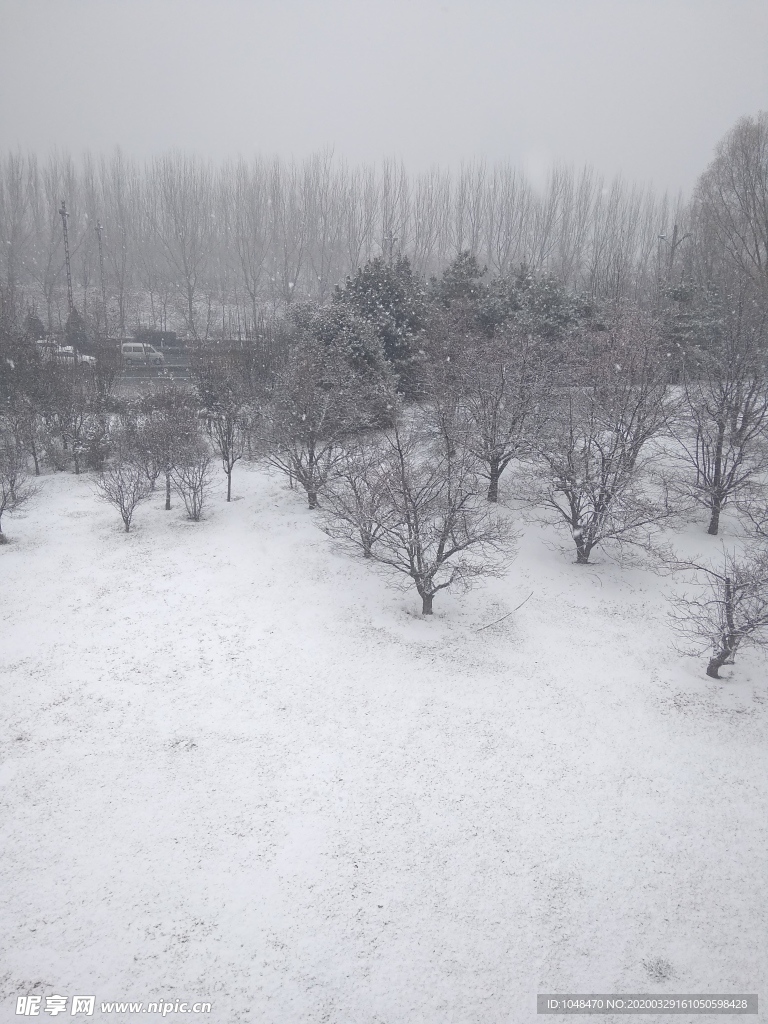 雪景