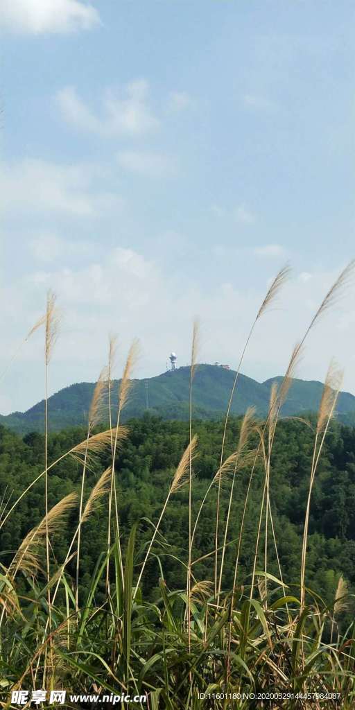 麋峰高山绿水