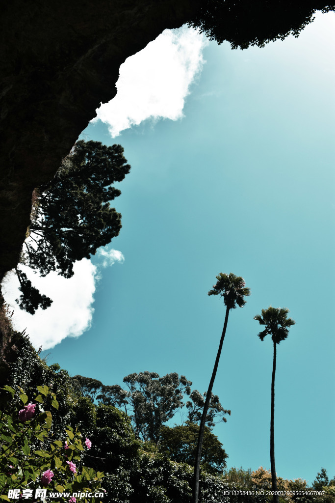 群山森林天空白云风景