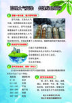 治理大气污染共建绿色家园A面