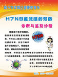 H7N9禽流感的预防诊断与鉴别