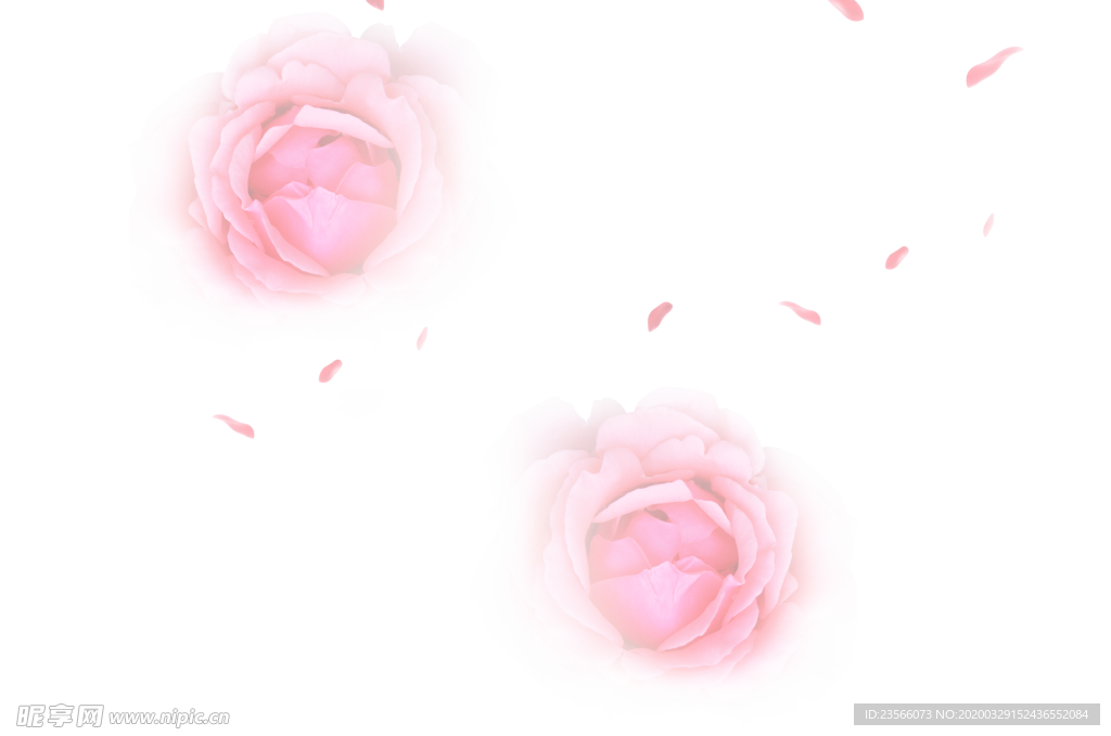 玫瑰花装饰素材