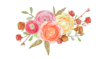 玫瑰花装饰素材