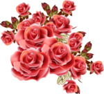 玫瑰花装饰素材