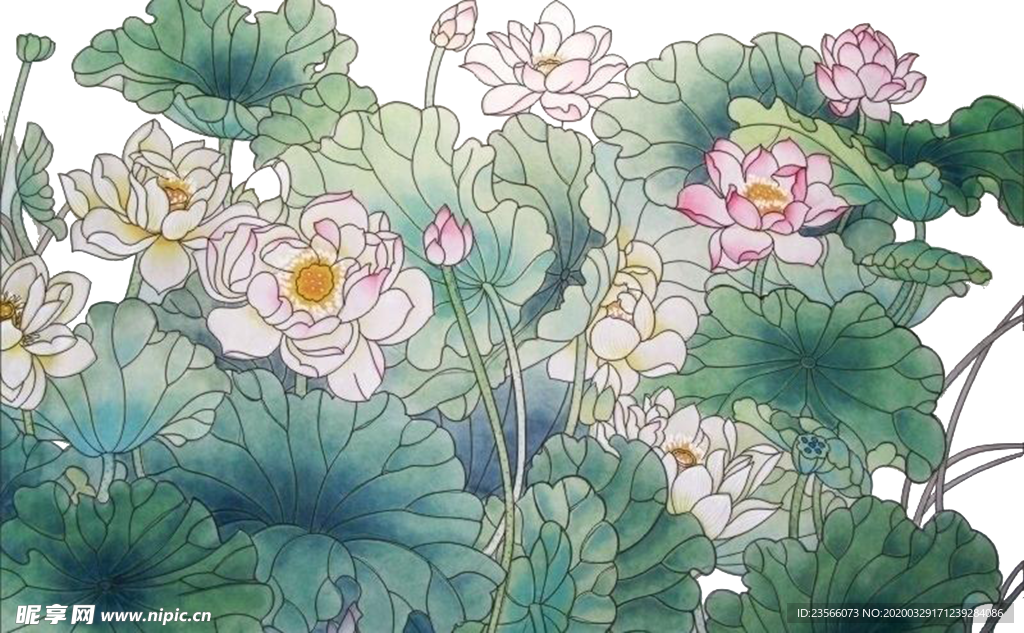 中国风荷叶荷花绘画