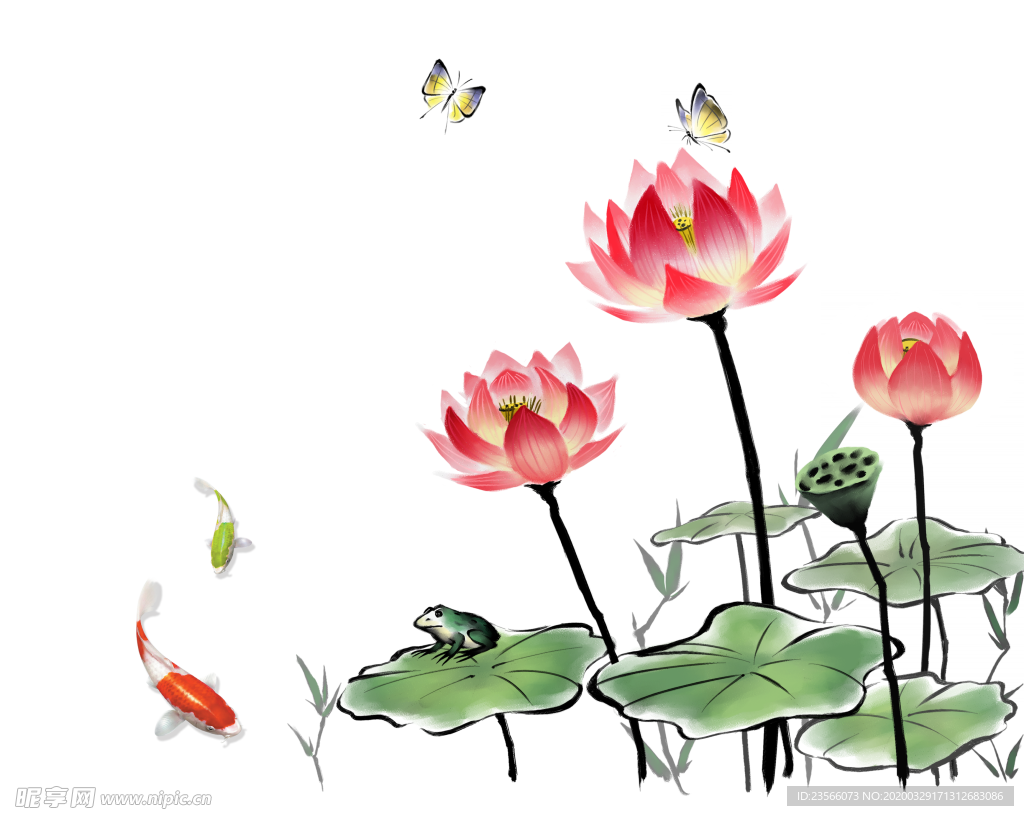 中国风荷叶荷花绘画