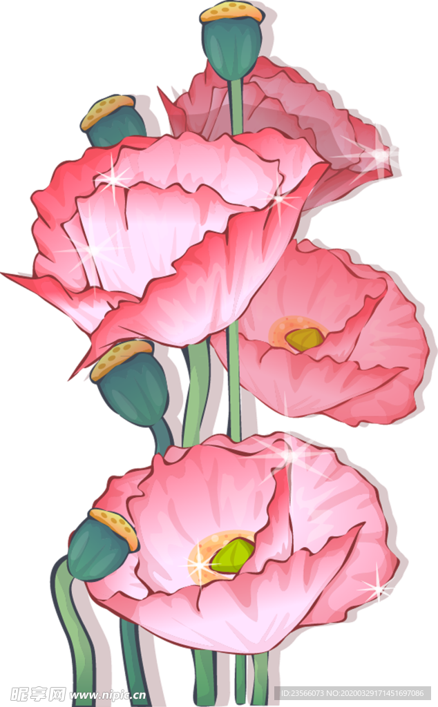 中国风荷叶荷花绘画